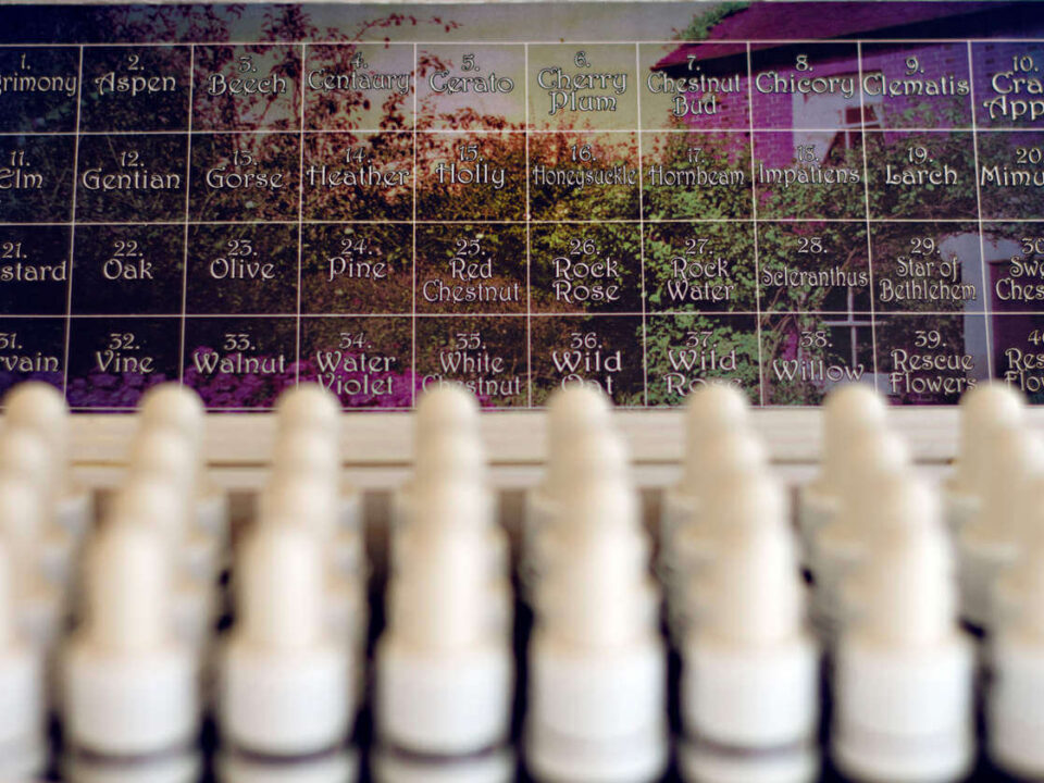 Komplet Bahove kapi 2